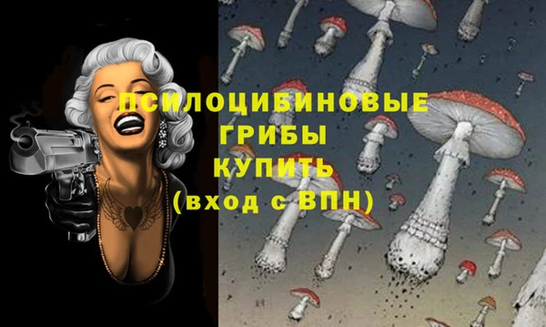 mdpv Осташков