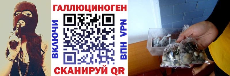Псилоцибиновые грибы прущие грибы  Алупка 