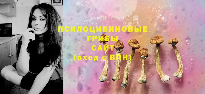 omg ONION  Алупка  Псилоцибиновые грибы Psilocybe  где купить наркотик 